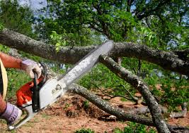 Best Landscape Design and Installation  in Tonkawa, OK